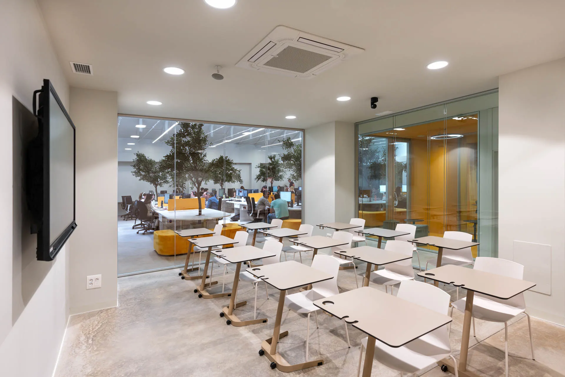 Aula de Amarillo Formación